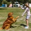 The Positive Impact of Raising a Child and a Dog Together