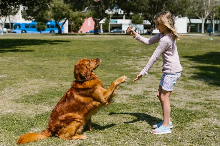 The Positive Impact of Raising a Child and a Dog Together