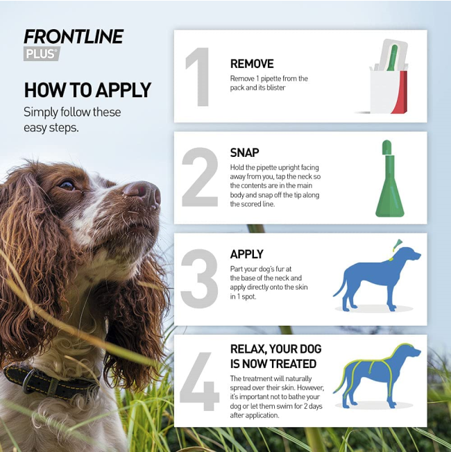 Frontline-plus-how-to-apply