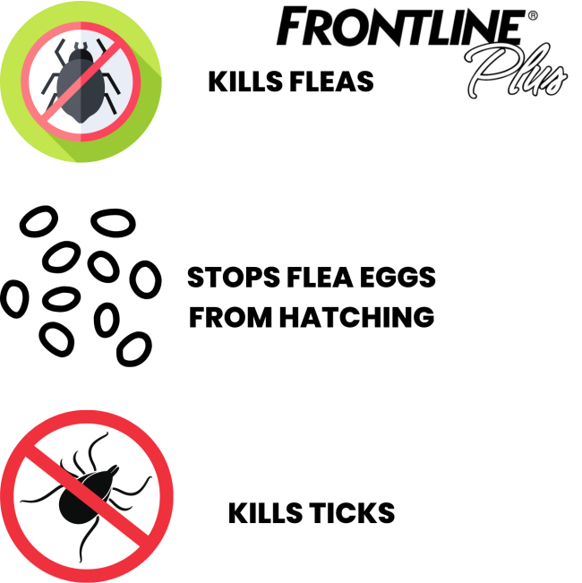 KILLS-FLEAS