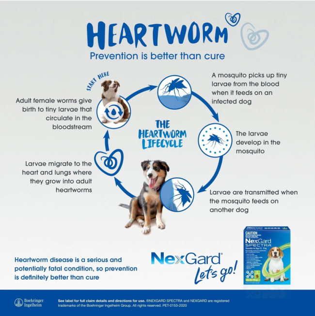 Nexgard-Spectra-Heartworm
