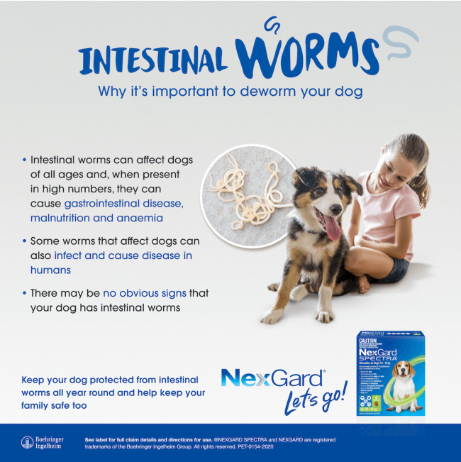 Nexgard-Spectra-Intestinal-Worms