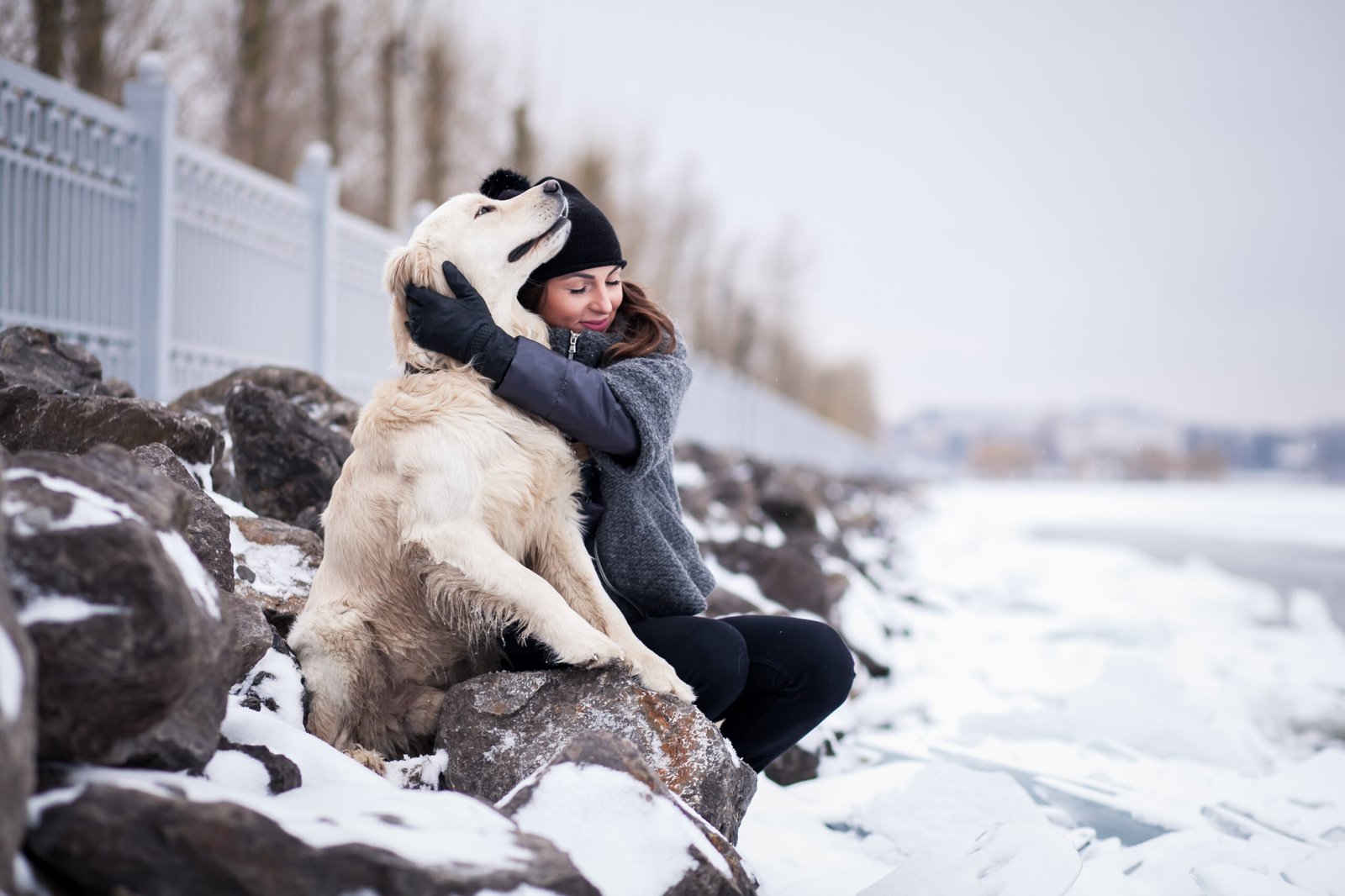 How to Keep Your Senior Dog Comfortable and Safe This Winter