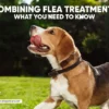Combining Flea Treatments for Dogs? – Safe Practices, Popular FAQs’ & Tips