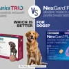 Nexgard Plus Vs. Simparica Trio: Which Parasite Treatment Is Best for Your Dog in 2026?