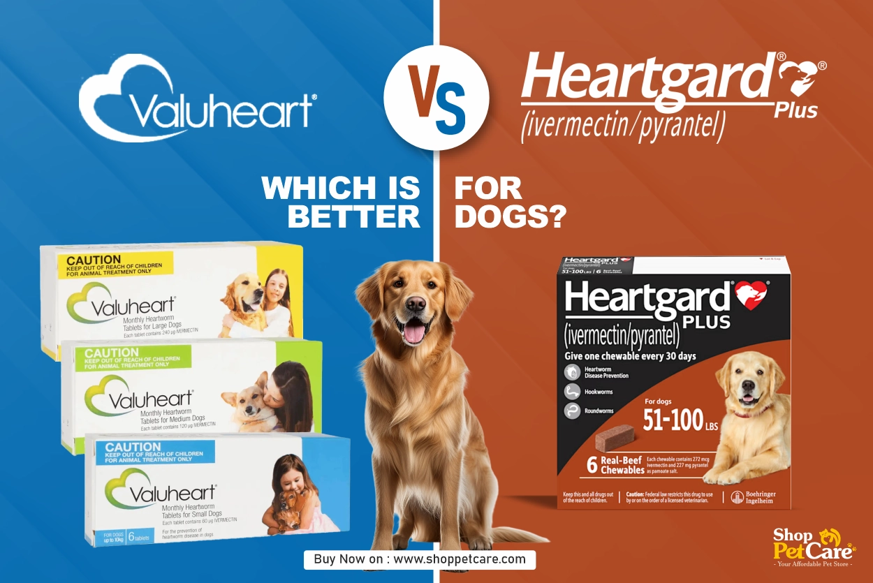 Valuheart vs Heartgard Plus 2025: The Real Differences in Protection and Price