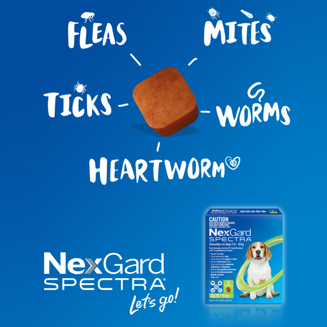 Nexgard-Spectra-Info