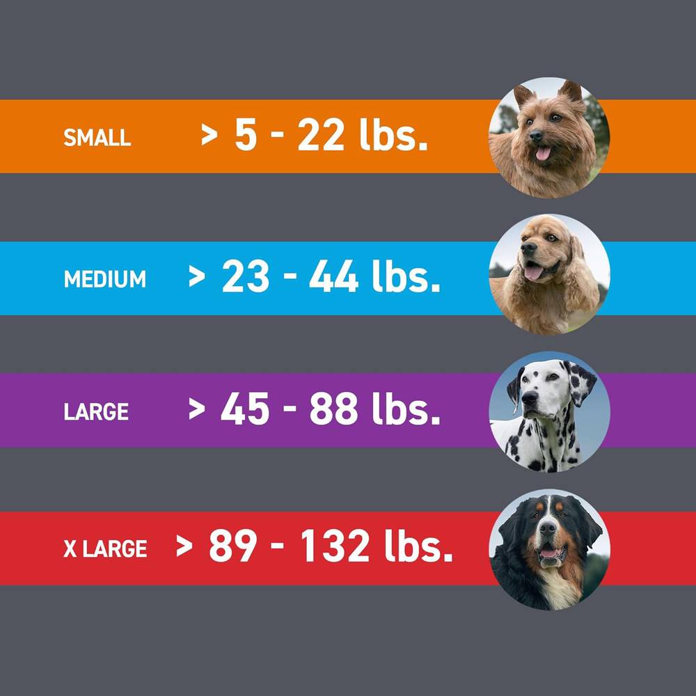 71NcaFt8VFL._SL1500_