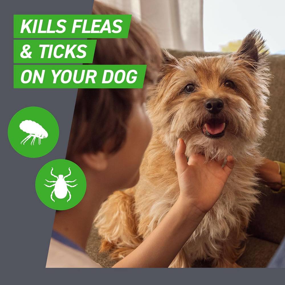 81HWNyMk9sL._SL1500_