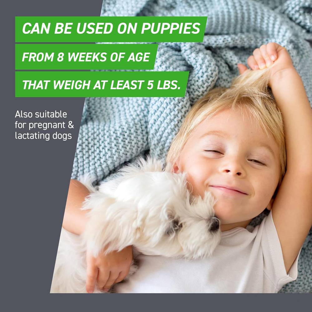 81lGylOGW2L._SL1500_