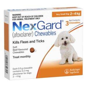 b3pk-nexgard-verysmallchew-for-dogs-2-4-kg__05566_5000x Nexgard Chewables for Small Dogs - Orange Pack 4-10 lbs (2-4kg)