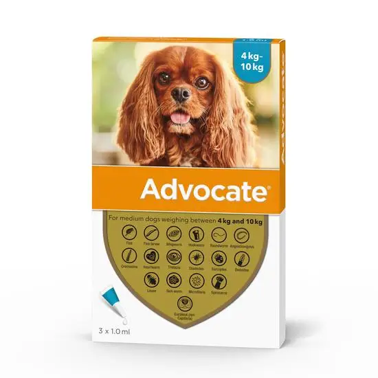 Advantage Multi (Advocate) for Dogs 8.8-22 lbs (4-10 kg) - Aqua